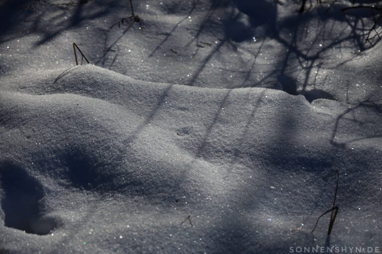 Nahaufnahme von Schnee der glitzert. Äste werfen Schatten.