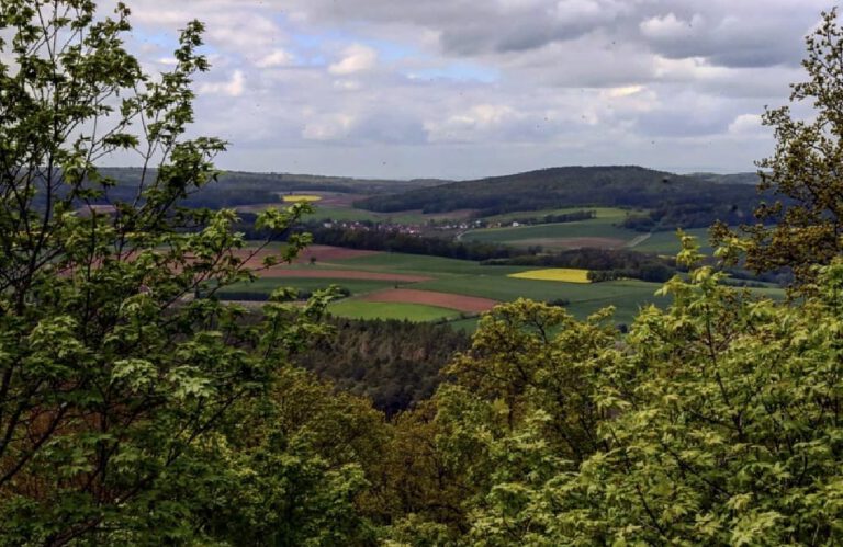 Eine weite Landschaft die zum Hintergrund hin hügelig wird. Davor sind grüne und gelbe Felder. Das Bild wird im Vordergrund von Bäumen umrahmt.