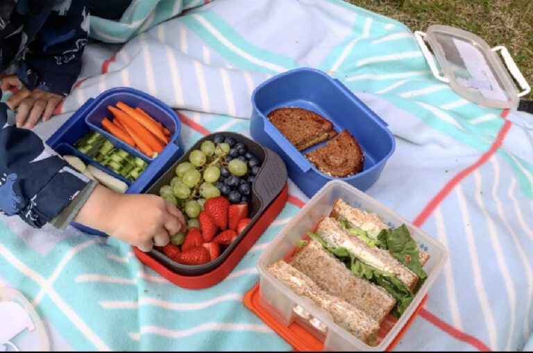 Eine Picknickdecke auf der sich verschiedene Brotdosen mit Obst und Broten finden.