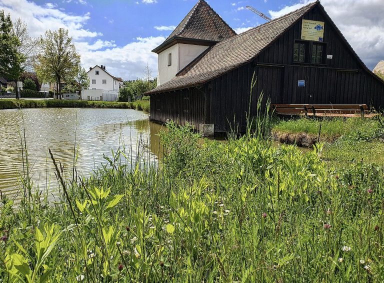 Ein Weiher und eine Hütte.