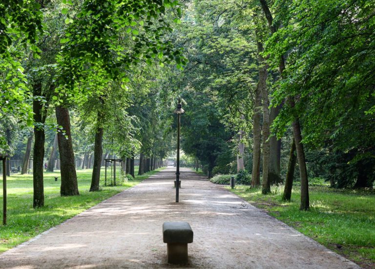 Eine lange Allee mit grünen Bäumen rechts und links. In der Mitte wechseln sich Steinbänke und Laternen ab.