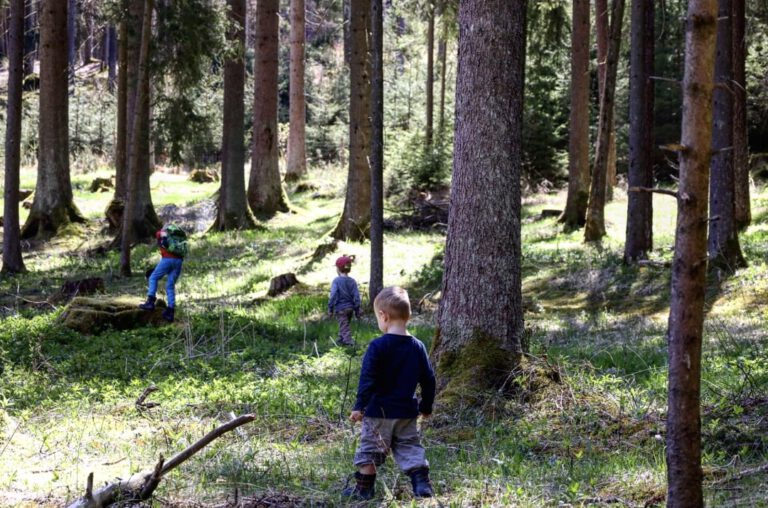 3 Kinder die im Wald spielen.