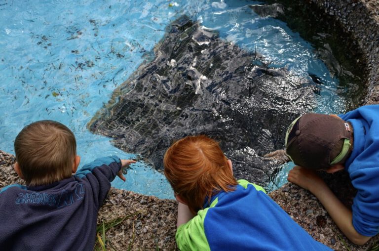 3 Kinder die ihre Arme in einem Brunnen haben.