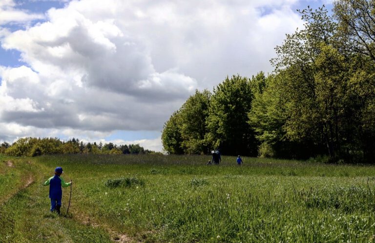 4 Personen die über eine Wiese wandern.