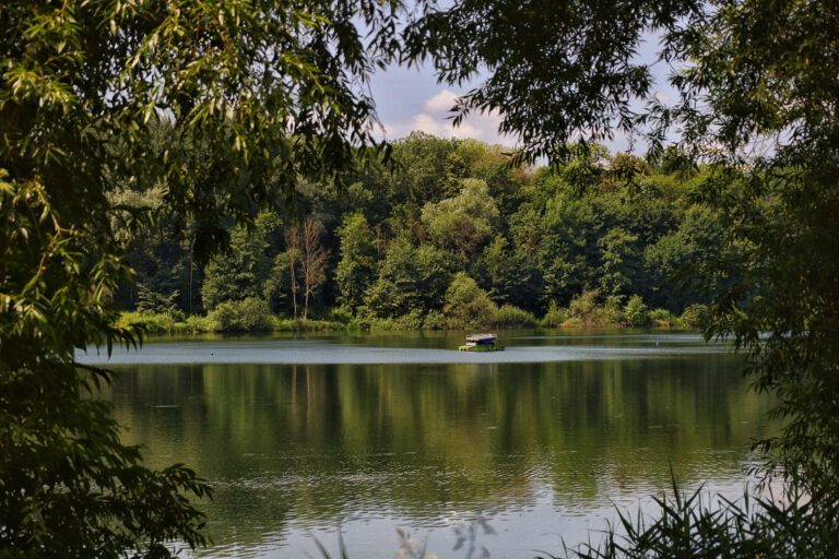 Ein See umgeben von Bäumen. In der Mitte schwimmt eine Plattform.