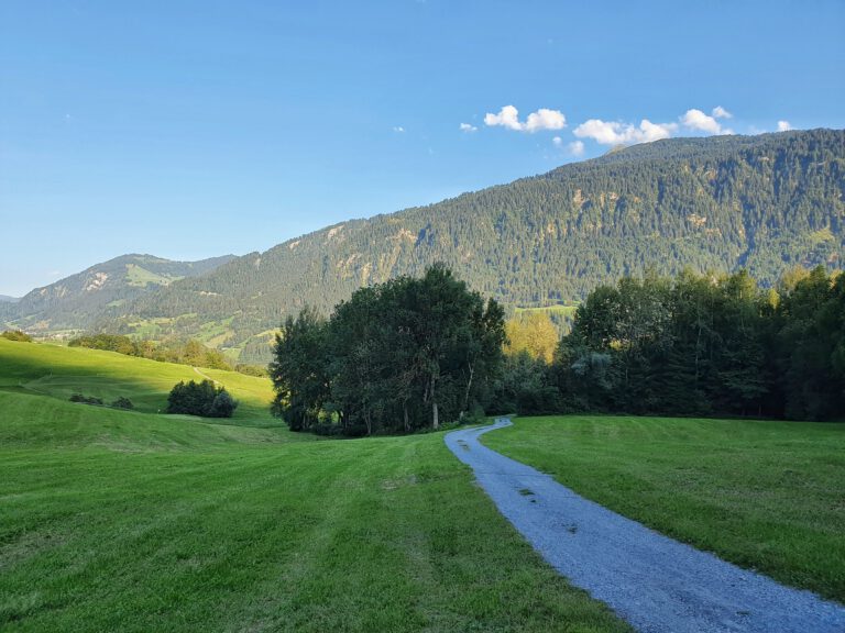 Ein Weg zwischen Wiesen der zu Bergen führt.