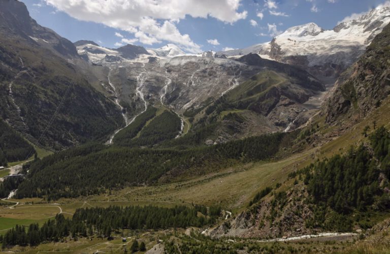 Aussicht auf einen Gletscher mit Nadelbäumen davor und schneebedeckten Gipfeln