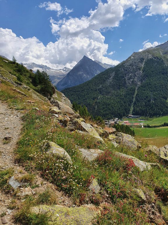 Berggipfel, Nadelbäume, Steine und Wiesen