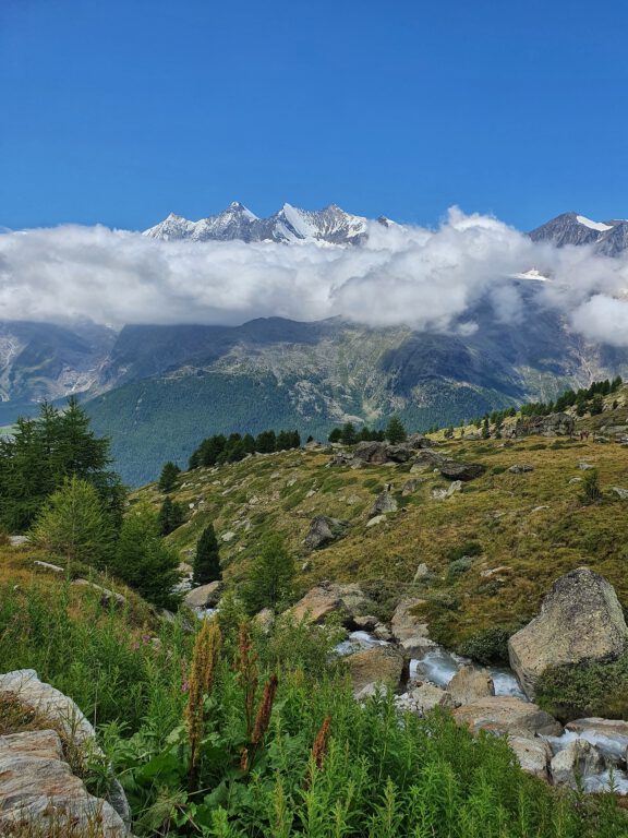 Wolkenverhangene und schneebedeckte Berge. Im Vordergrund eine steinige und grüne Wiese