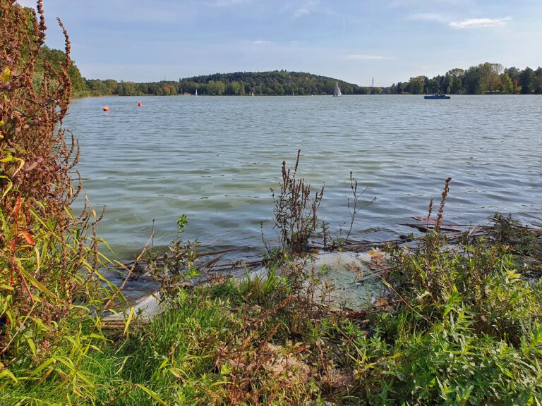 Der Dechsendorfer Weiher mit etwas Ufer im Vordergrund und ein paar Segelbooten auf dem Wasser.