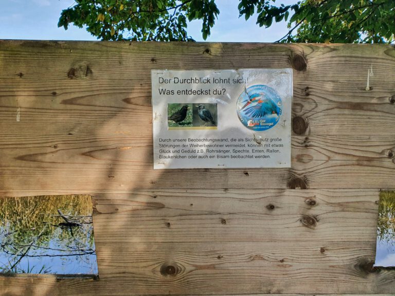 Eine Holzwand mit zwei Löchern drinnen, durch die man Vögel beobachten kann.