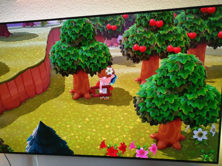 Ein Fernseher auf dem das Speil Animal Crossing zu sehen ist.