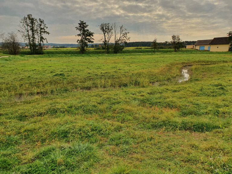 Eine grüne Wiese und ein wolkenverhangener Himmel.