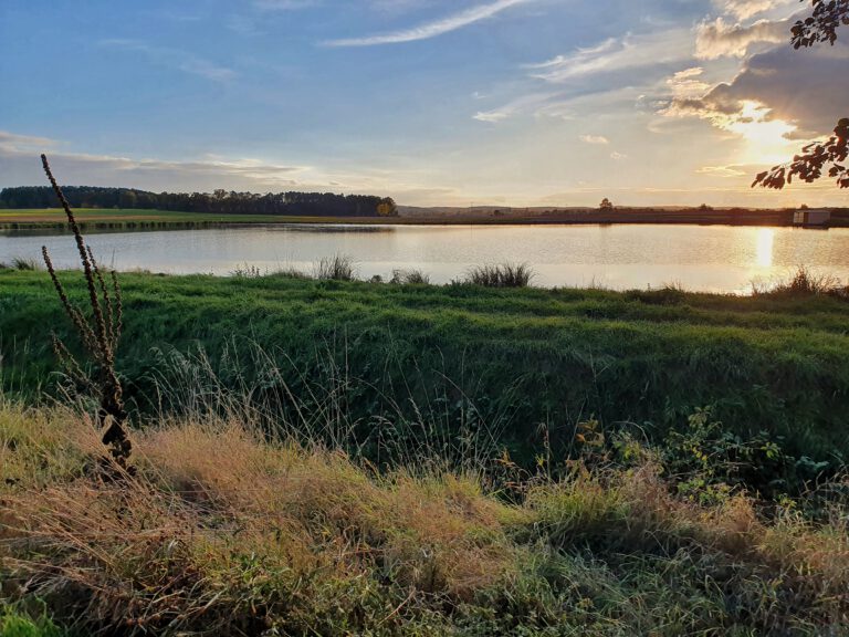 Eine grüne Wiese und ein Weiher. Die Sonne geht unter.