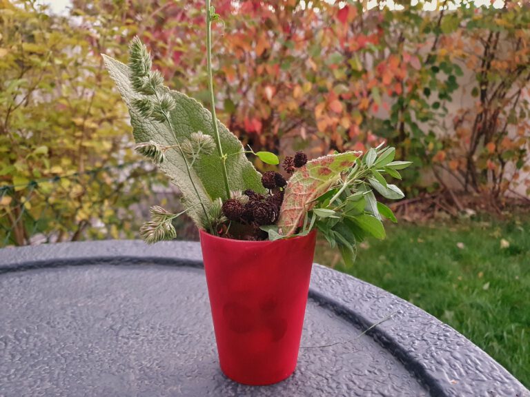 Verschiedene Blätter und Gräser in einem roten Becher.