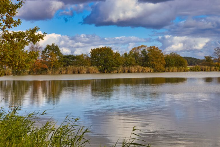 Ein Weiher in dem sich graue und weiße Wolken spiegeln. Am Ufer stehen Bäume. 