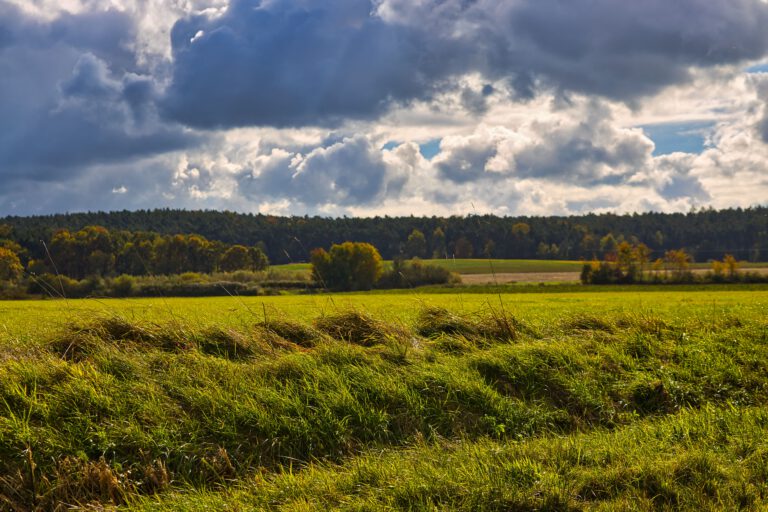 Ein Landschaftsbild mit grünen Wiesen im Vordergrund. Weiter hinten sieht man vereinzelt Bäume und Wald. Der Himmel ist blau aber mit dicken grauen und weißen Wolken behangen.