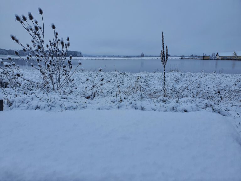 Eine Schneelandschaft an einem Weiher. 