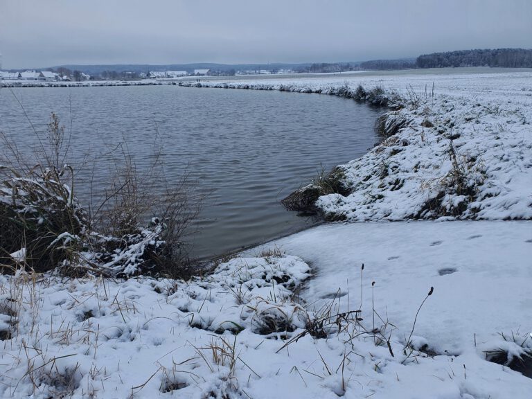 Schnee um einen Weiher herum.