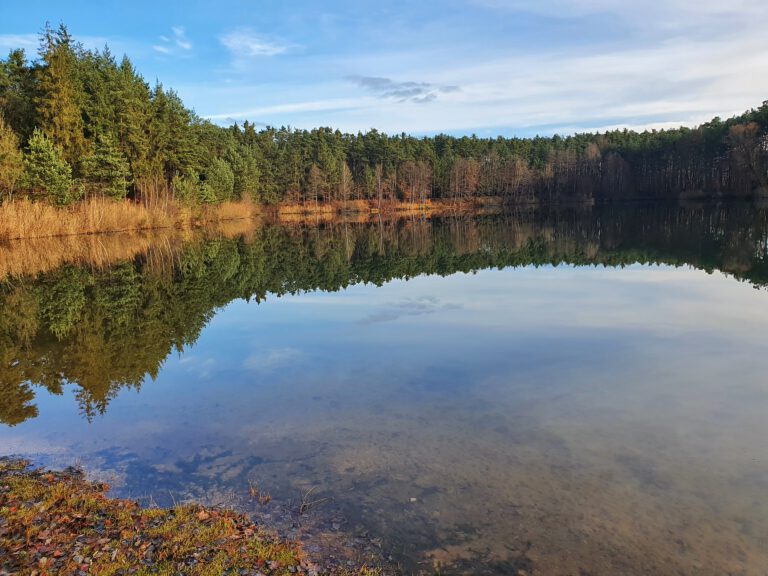 Ein Weiher mit Bäumen ringsum, die sich im Wasser spiegeln.