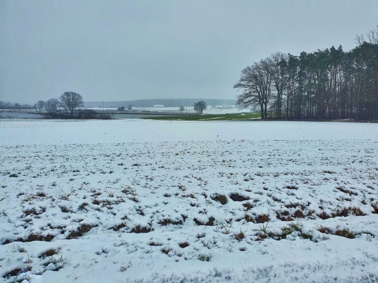 Ein Feld mit Schnee. Ein paar Bäume. 