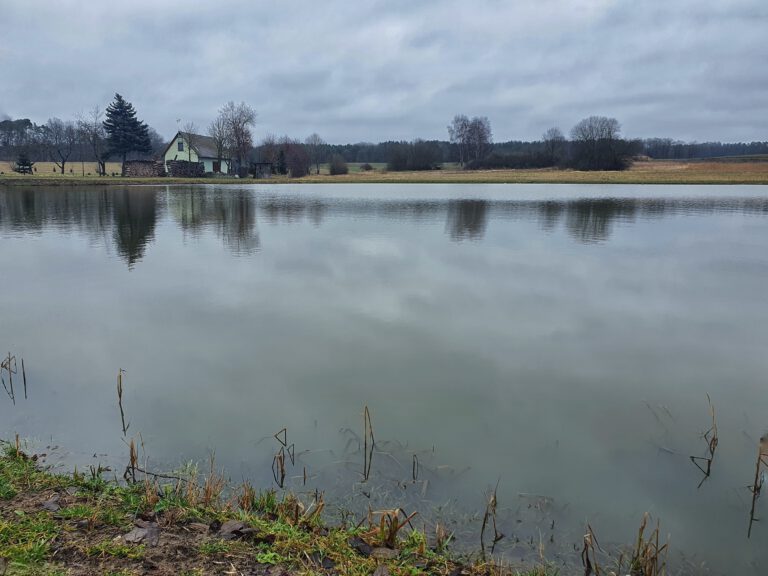 Ein Weiher, an dem ein kleines Haus steht.