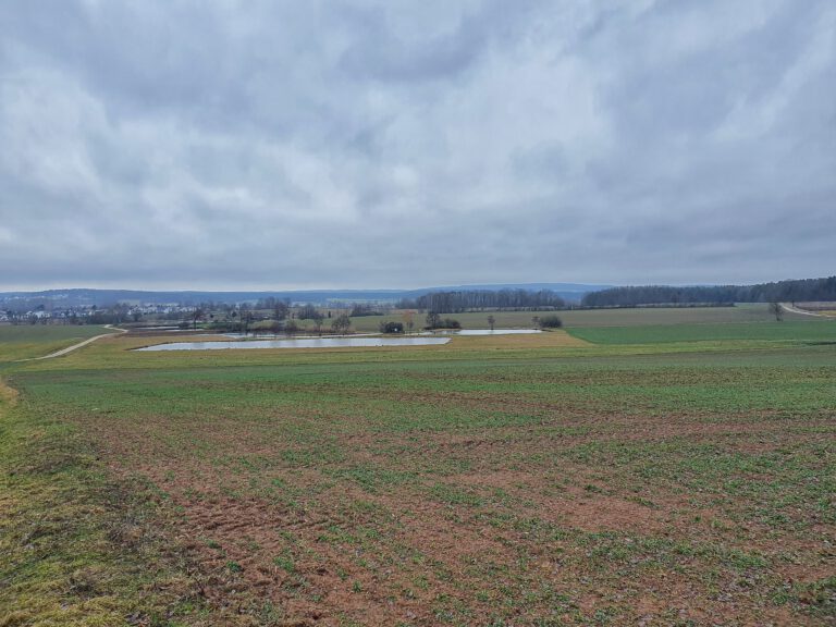 Ein weites Feld mit kleinen Weihern.