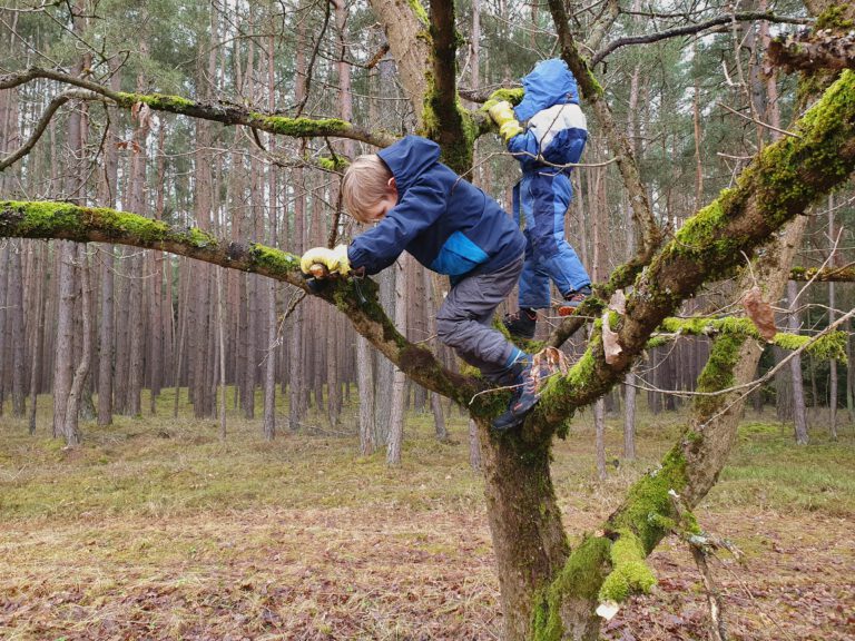 2 Kinder klettern auf einen Baum.