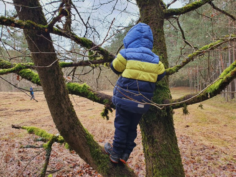 Ein Kind klettert auf einen Baum.