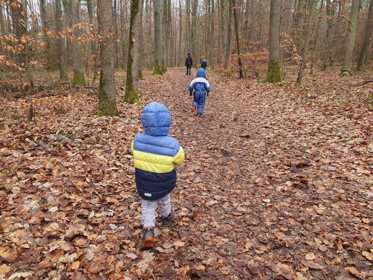 3 Kinder und ein Erwachsener laufen durch einen Wald.