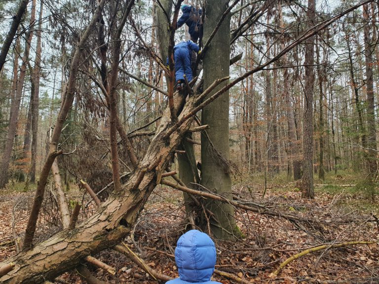 2 Kinder klettern auf einen Baum. Eines steht unten und schaut zu.