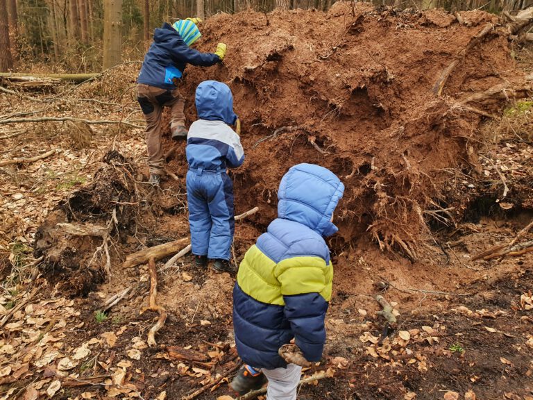 3 Kinder spielen an der Wurzel eines umgefallenen Baumes.