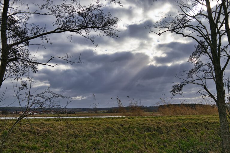 Graue Wolken am Himmel, durch die die Sonne blitzt. Rechts und links steht jeweils ein Baum.