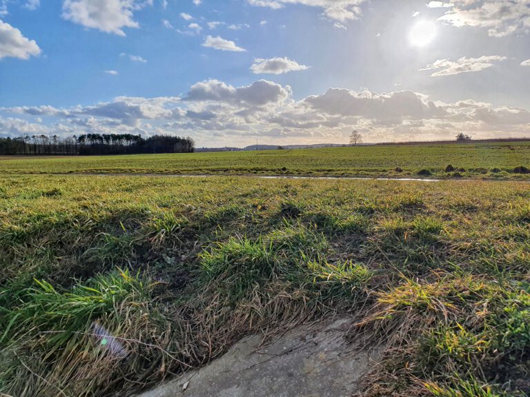 Grüne Wiese und blauer Himmel mit weißen Wolken und die Sonne.