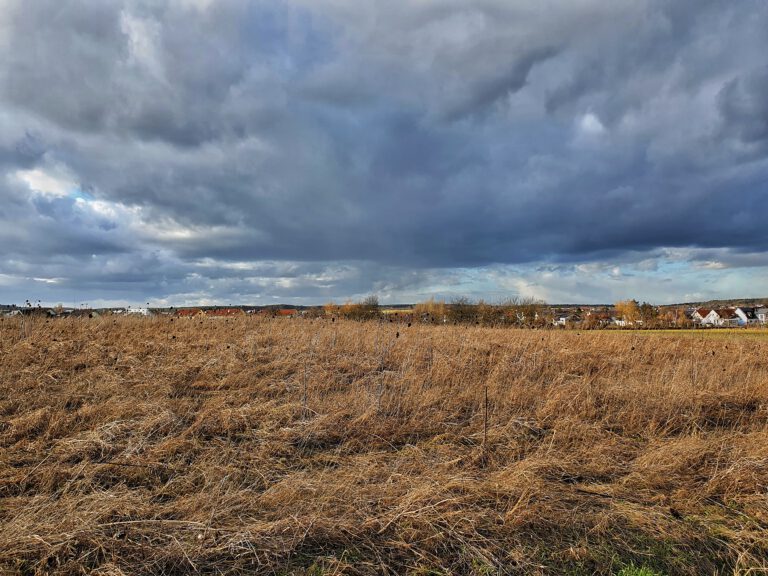 Grauer Himmel mit großen Wolken.