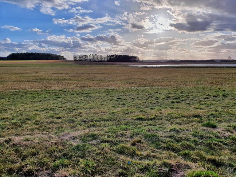 Grüne Wiese und blauer Himmel mit weißen Wolken und die Sonne mit kleinen Weiher.