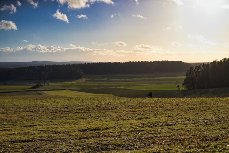 Felder in verschiedenen Grüntöne und Wald im Hintergrund.