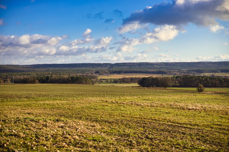 Felder, Wiesen, Baumgruppen und ein blauer Himmel mit weißen Wolken.