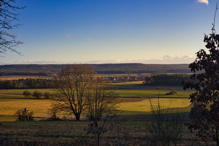 Felder in der Abendsonne.