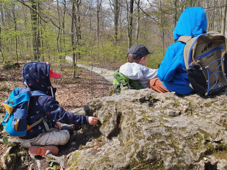 3 Kinder sitzen auf einem Felsen im Wald.