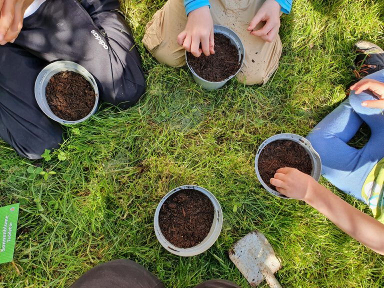 4 Blumentöpfe mit Erde. Kinderhände pflanzen Samen ein.