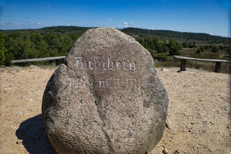 Ein großer Stein auf dem "Turmberg 135 m.ü.M. steht.