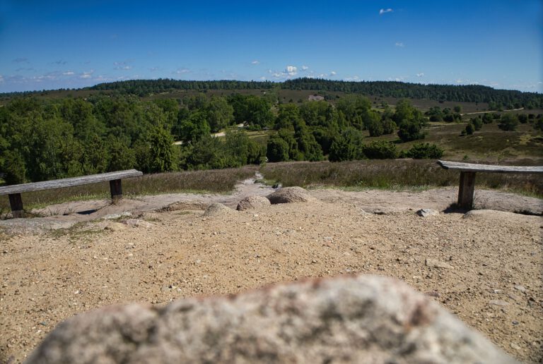 Im Vordergrund verschwommen ein Stein. Weiter hinten 2 Holzbänke. Im Hintergrund grüne Büsche und Wiese. Der Himmel ist blau.