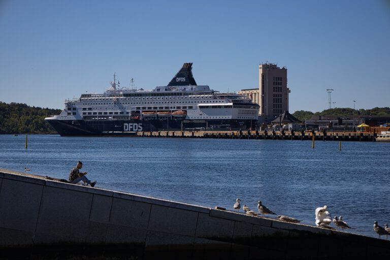 Ein Hafen in dem im Hintergrund ein großes Passagierschiff steht.