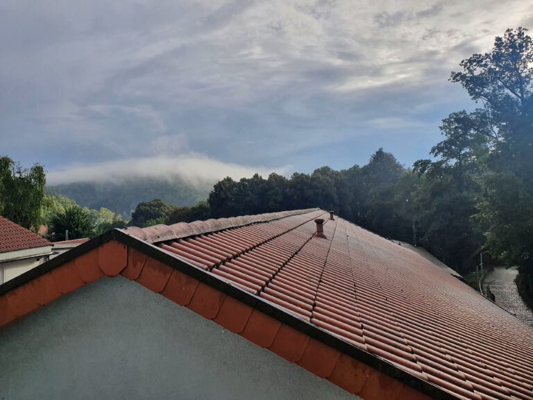 Blick aus einem Hotelfenster auf ein rotes Dach. Dahinter der Pfälzerwald im Nebel.