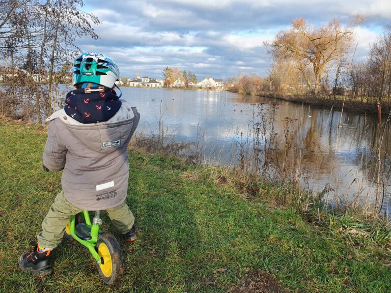 Ein kleines Kind auf einem Laufrad, welches auf einen Teich Enten anschaut.