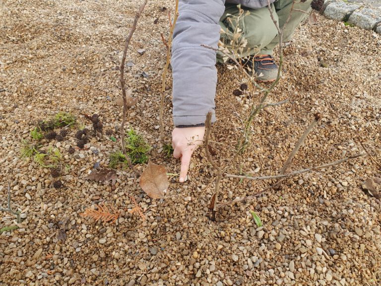 Lauter kleiner Kieselsteine in die Moos, Stöcke und Blätter gesteckt wurden. Eine Kinderhand zeigt auf ein Blatt.