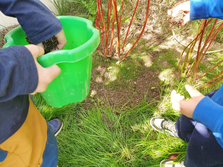 Die Hände von Kindern die einen Eimer mit Erde und Rasensamen halten bzw diese auf dem Boden verteilen.