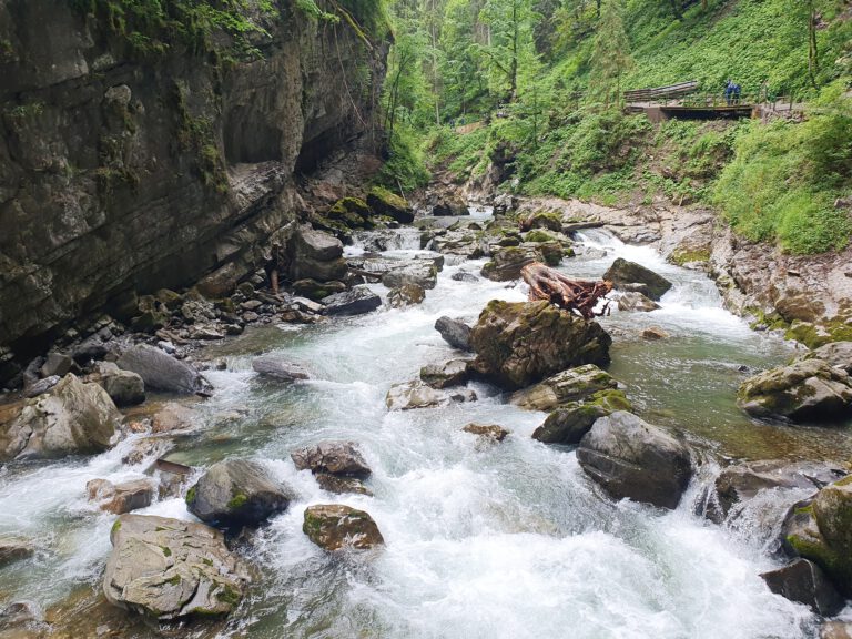 Eine Nahaufnahme des Wassers, welches sich seinen Weg durch die Steine bahnt.