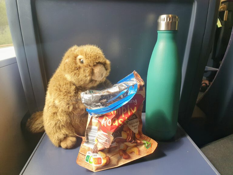 Ein Stoff-Murmeltier im ICE mit einer Packung Nüssen vor der Nase.